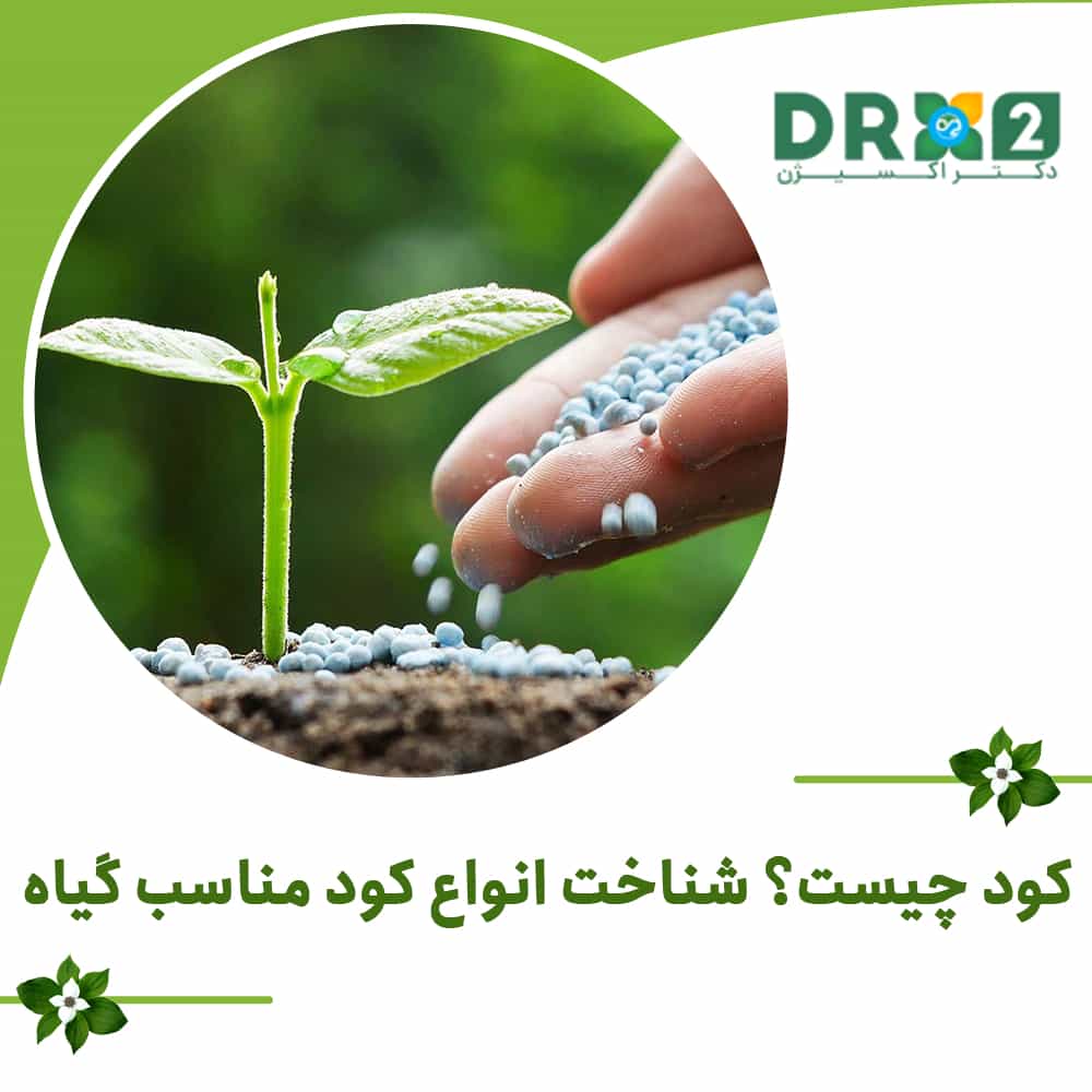 کود چیست؟ شناخت انواع کود مناسب گیاه
