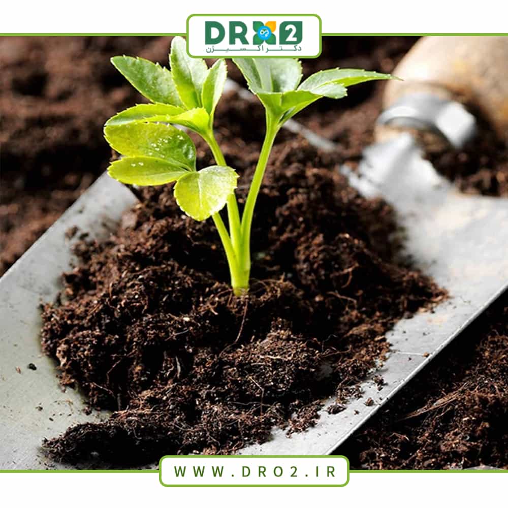 کود چیست؟ شناخت انواع کود مناسب گیاه_دکتر اکسیژن