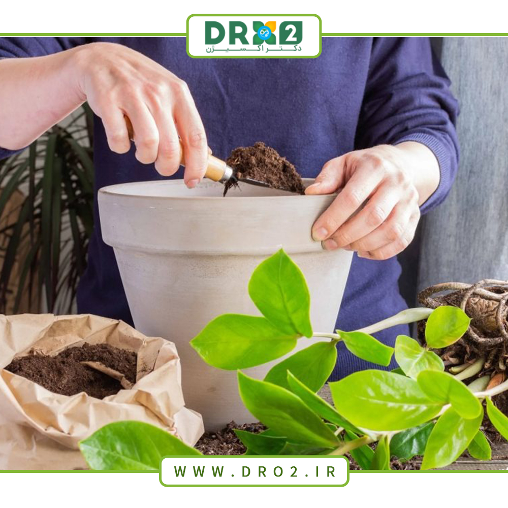 آشنایی با انواع خاک مناسب گیاهان شما_دکتر اکسیژن