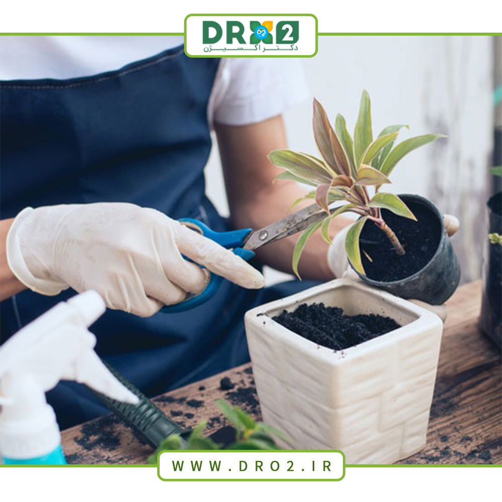 آشنایی با انواع خاک مناسب گیاهان شما_دکتر اکسیژن