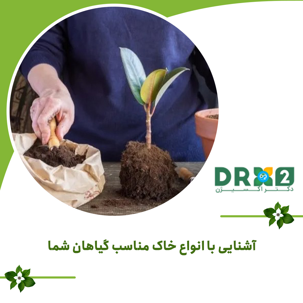 آشنایی با انواع خاک مناسب گیاهان شما