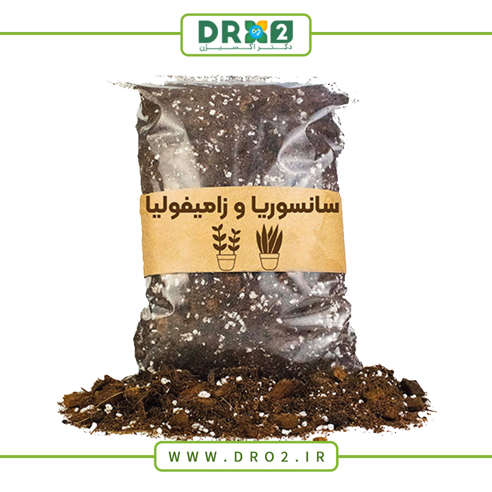 بهترین خاک برای گیاه سانسوریا و زامیفولیا کدام است؟ _دکتر اکسیژن