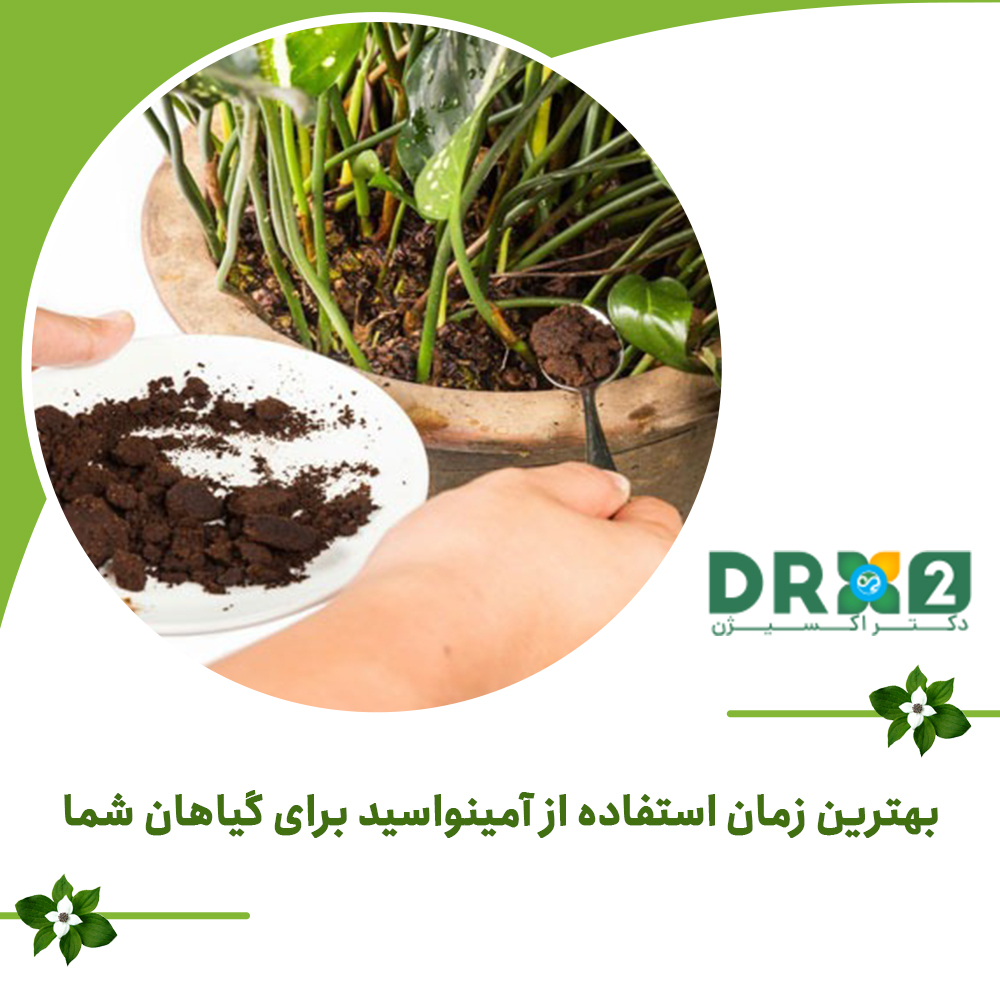 بهترین زمان استفاده از آمینواسید برای گیاهان شما