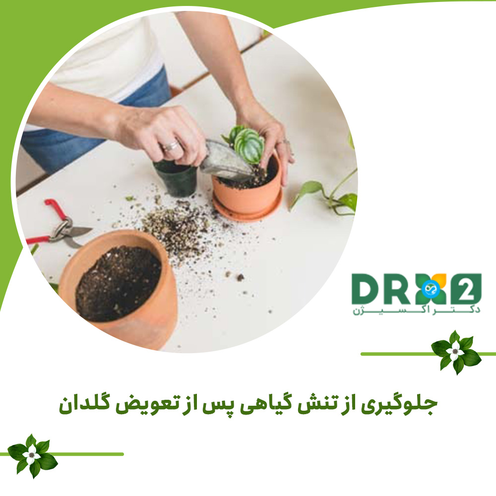 جلوگیری از تنش گیاهی پس از تعویض گلدان