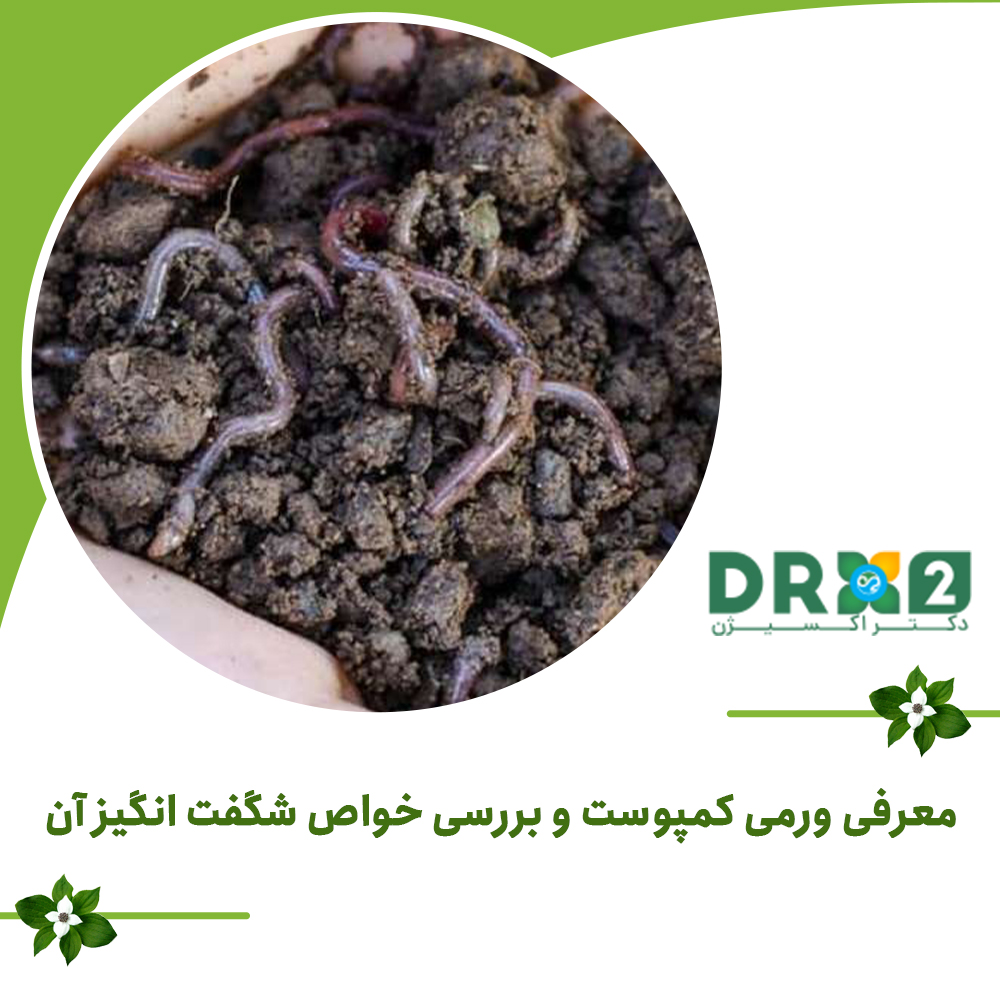 معرفی ورمی کمپوست و بررسی خواص شگفت انگیز آن