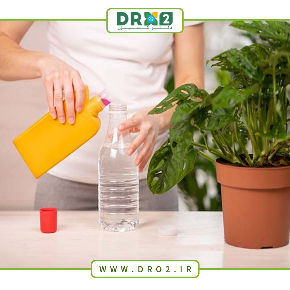 معرفی کودهای ریشه زا و موارد مصرف آنها برای گیاهان آپارتمانی_دکتر اکسیژن