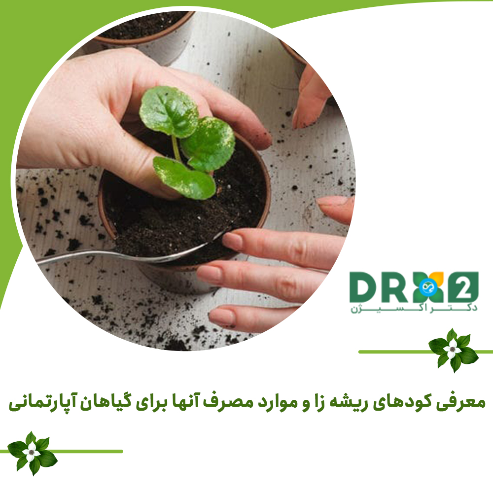 معرفی کودهای ریشه زا و موارد مصرف آنها برای گیاهان آپارتمانی