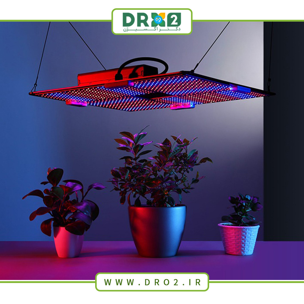 چراغ رشد به چه میزان نور مورد نیاز گیاه را تامین میکند؟_دکتر اکسیژن