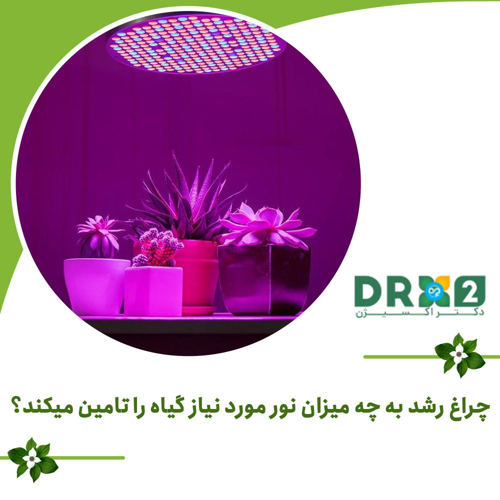 چراغ رشد به چه میزان نور مورد نیاز گیاه را تامین میکند؟