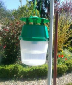 کرم خراط_دکتر اکسیژن