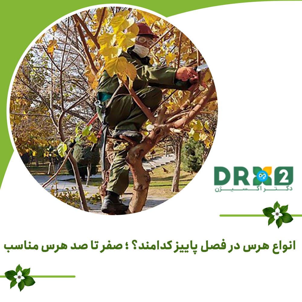 انواع هرس در فصل پاییز کدامند؟ ؛ صفر تا صد هرس مناسب