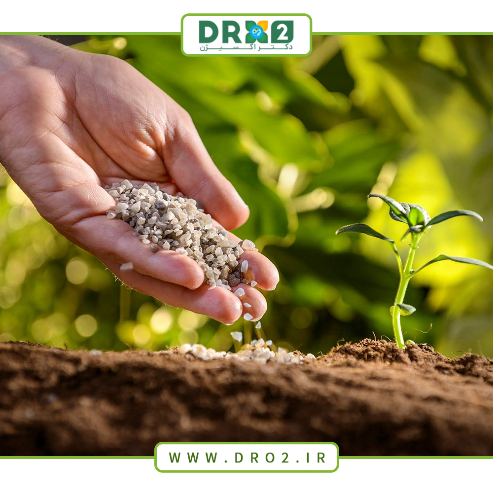 بهترین کودهای پاییزه کدامند؟ _دکتر اکسیژن