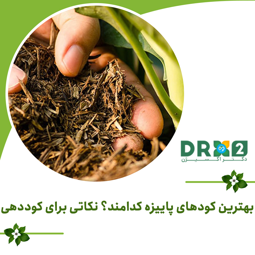 بهترین کودهای پاییزه کدامند؟