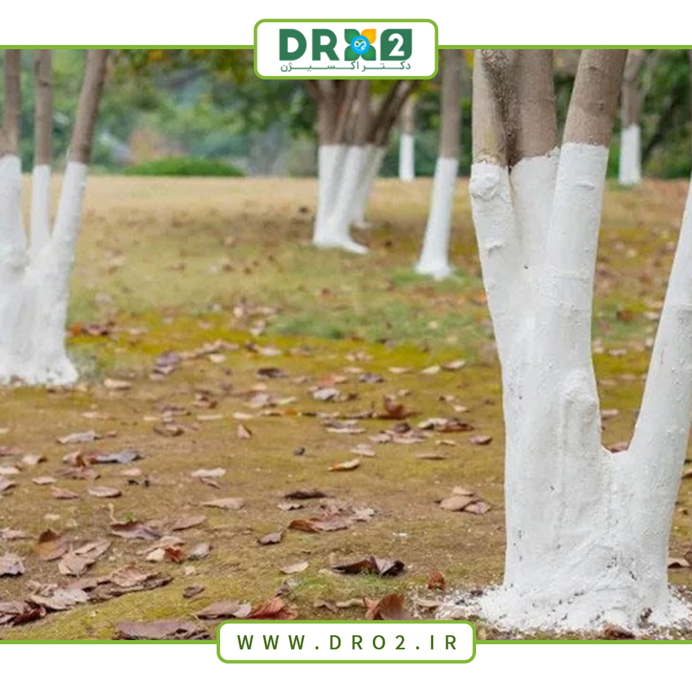 خواص رنگ تنه درختان؛ چرا باید تنه درختان را رنگ کنیم؟_دکتر اکسیژن