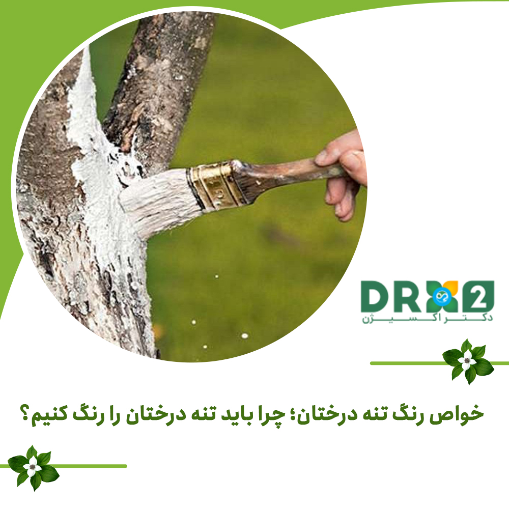 خواص رنگ تنه درختان؛ چرا باید تنه درختان را رنگ کنیم؟