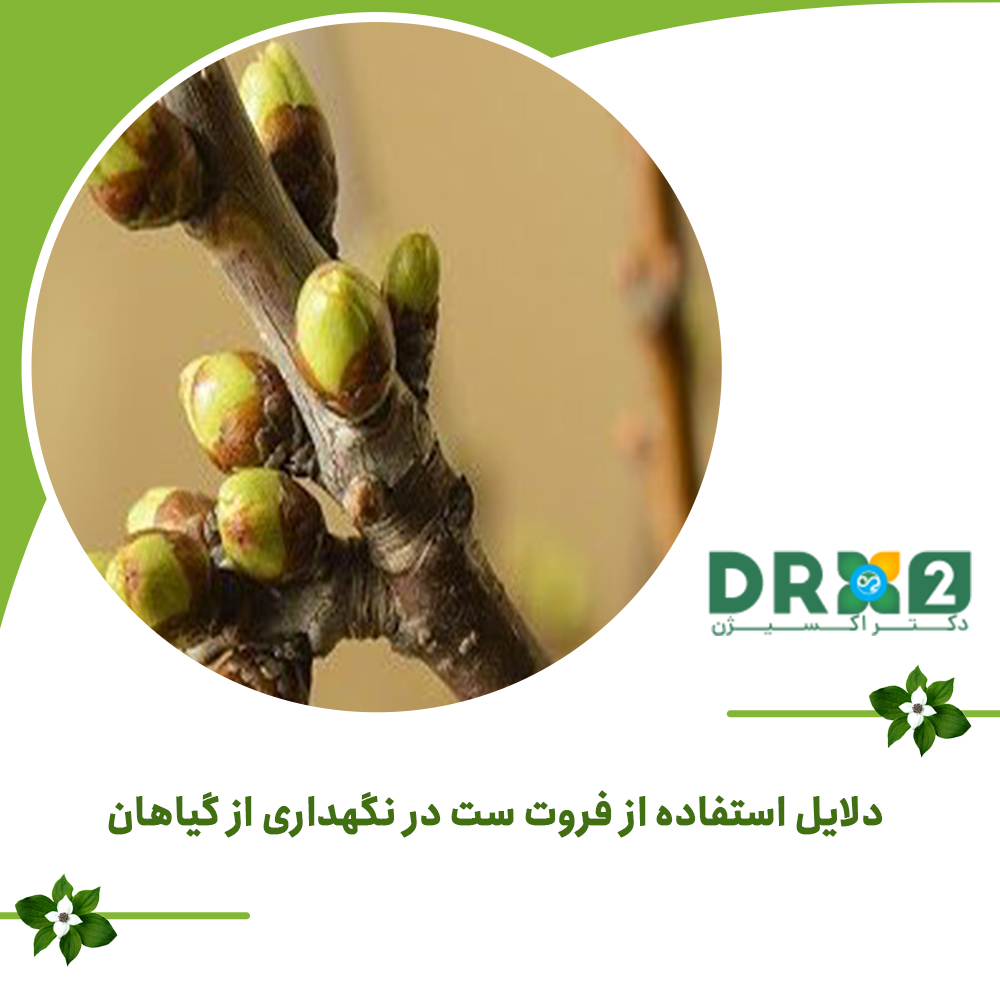 دلایل استفاده از فروت ست در نگهداری از گیاهان