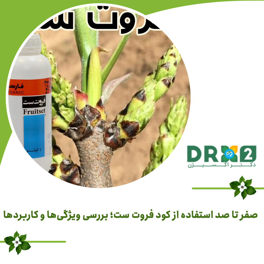 صفر تا صد استفاده از کود فروت ست؛ بررسی ویژگی‌ها و کاربردها