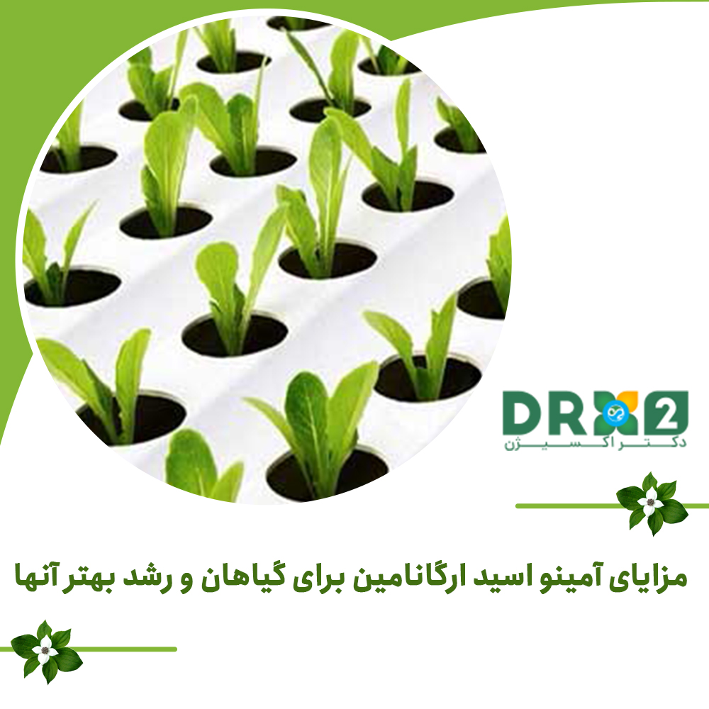 مزایای آمینو اسید ارگانامین برای گیاهان و رشد بهتر آنها