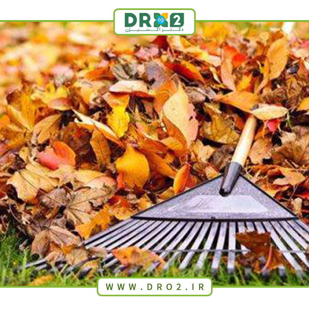 نظافت باغ و چالش هایی که در فصل پاییز با آن روبرو هستیم_دکتر اکسیژن