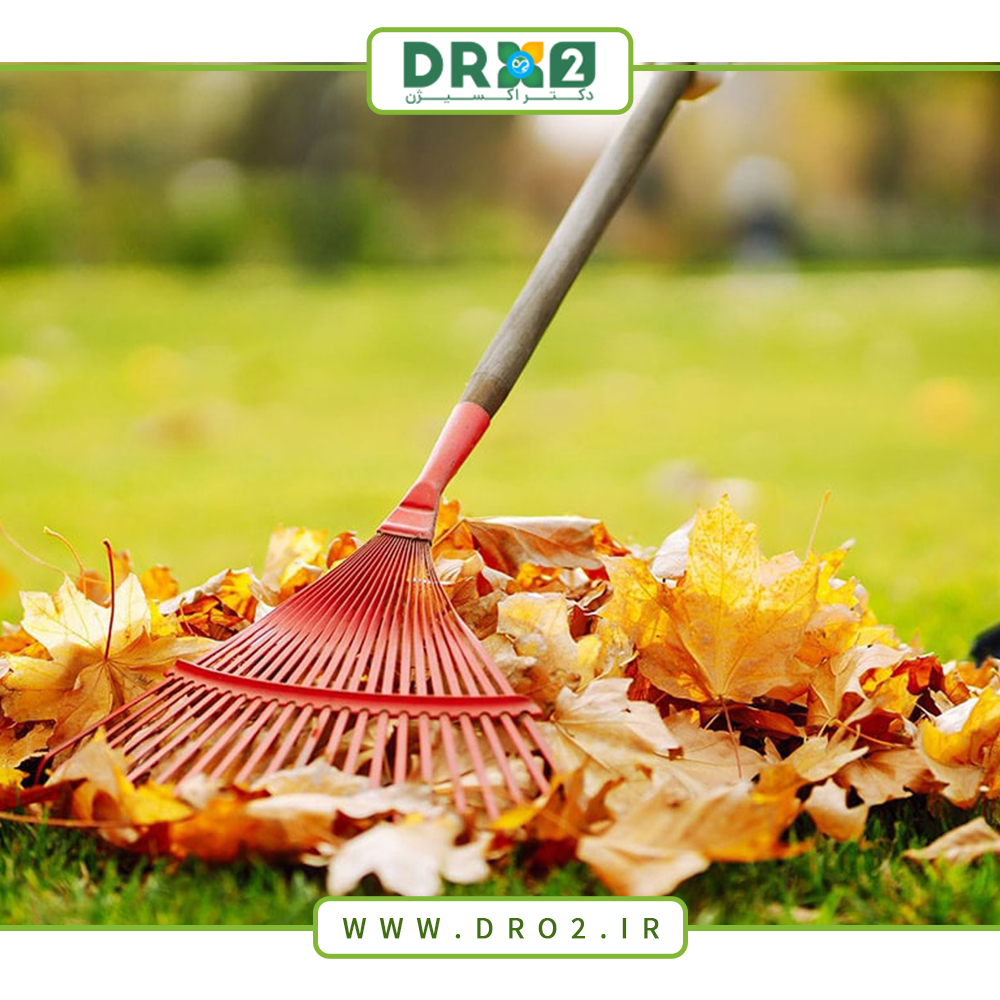 نظافت باغ و چالش هایی که در فصل پاییز با آن روبرو هستیم_دکتر اکسیژن