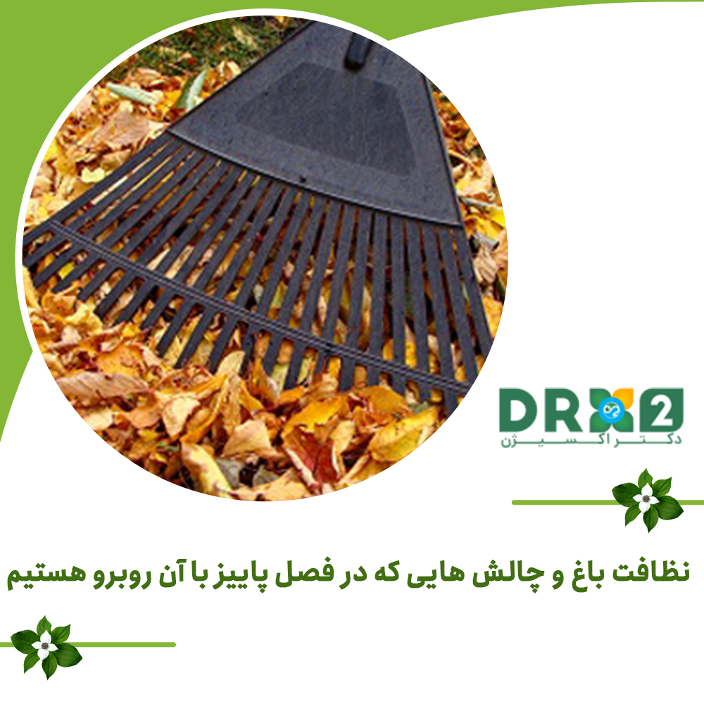 نظافت باغ و چالش هایی که در فصل پاییز با آن روبرو هستیم