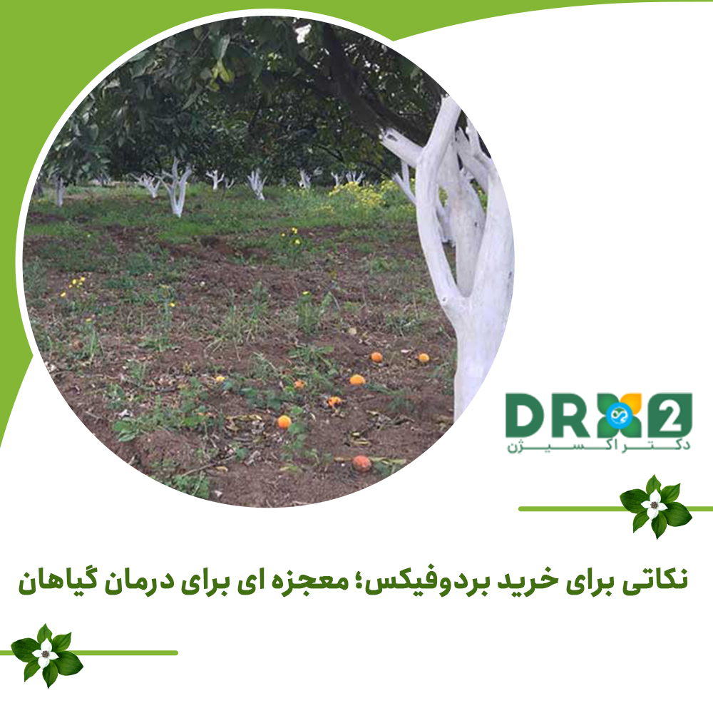 نکاتی برای خرید بردوفیکس؛ معجزه ای برای درمان گیاهان