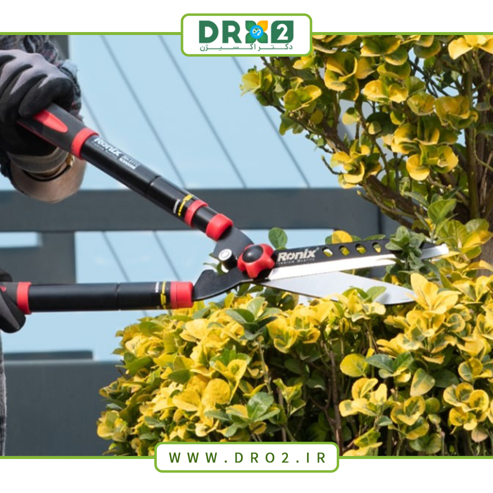 وسایل و ابزار مورد نیاز برای هرس انواع گیاهان و درختان_دکتر اکسیژن