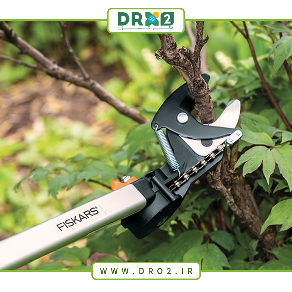 وسایل و ابزار مورد نیاز برای هرس انواع گیاهان و درختان_دکتر اکسیژن