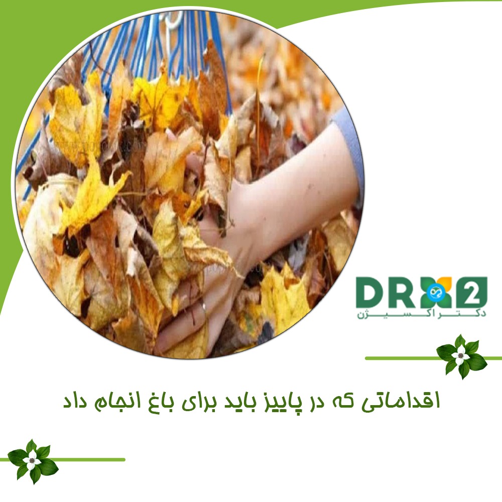 اقداماتی که در پاییز باید برای باغ انجام داد