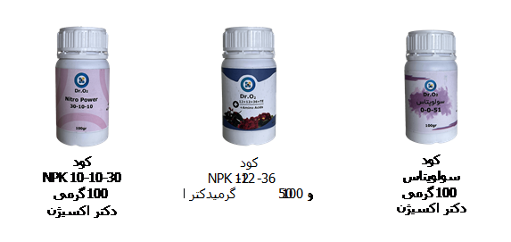 آلسترومریا_دکتر اکسیژن