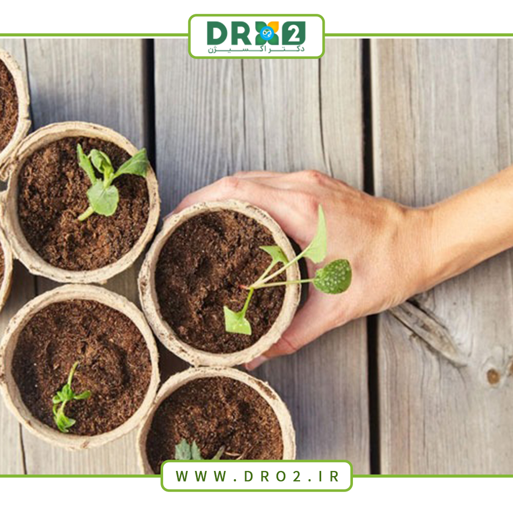 بهترین نوع خاک برای گیاهان آپارتمانی کدام است؟ _دکتر اکسیژن