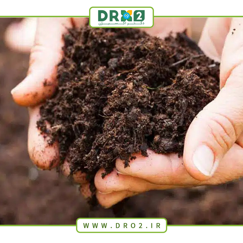 بهترین نوع خاک برای گیاهان آپارتمانی کدام است؟ _دکتر اکسیژن