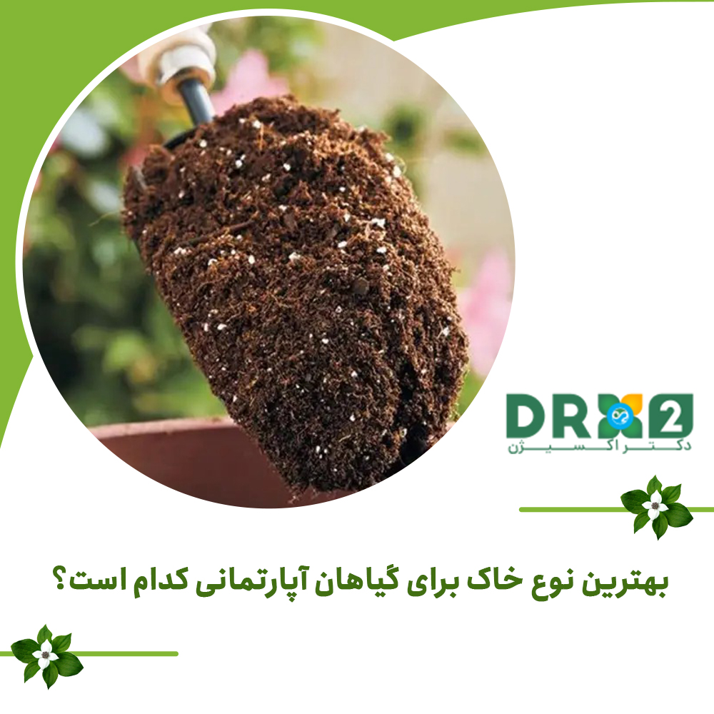 بهترین نوع خاک برای گیاهان آپارتمانی کدام است؟