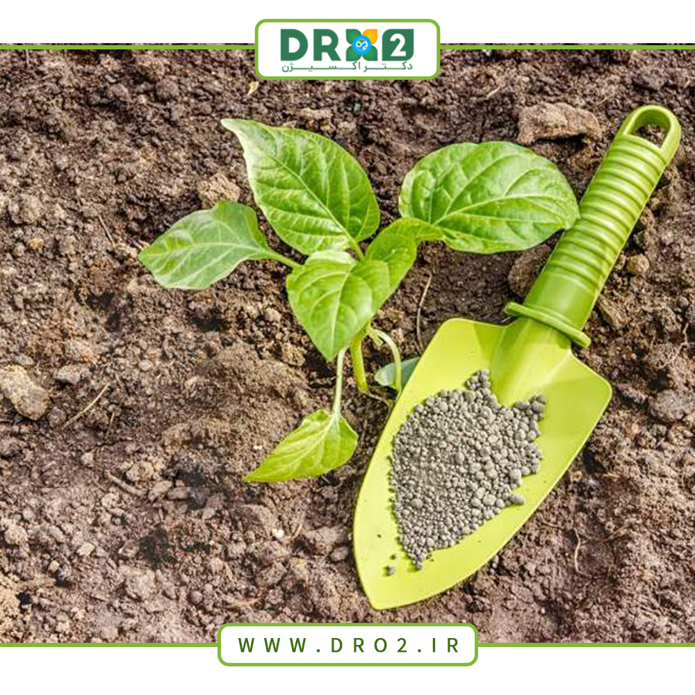 معرفی انواع چالکود و بررسی مزایا و معایب آن_دکتر اکسیژن