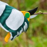 هرس درختان_دکتر اکسیژن