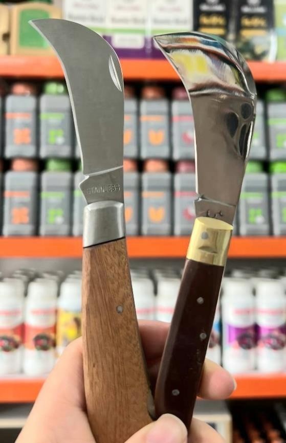 هرس درختان_دکتر اکسیژن