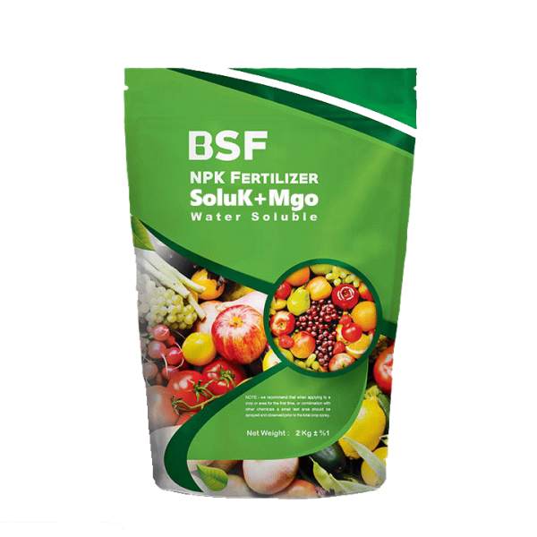 اهمیت فسفر در گیاه_دکتر اکسیژن