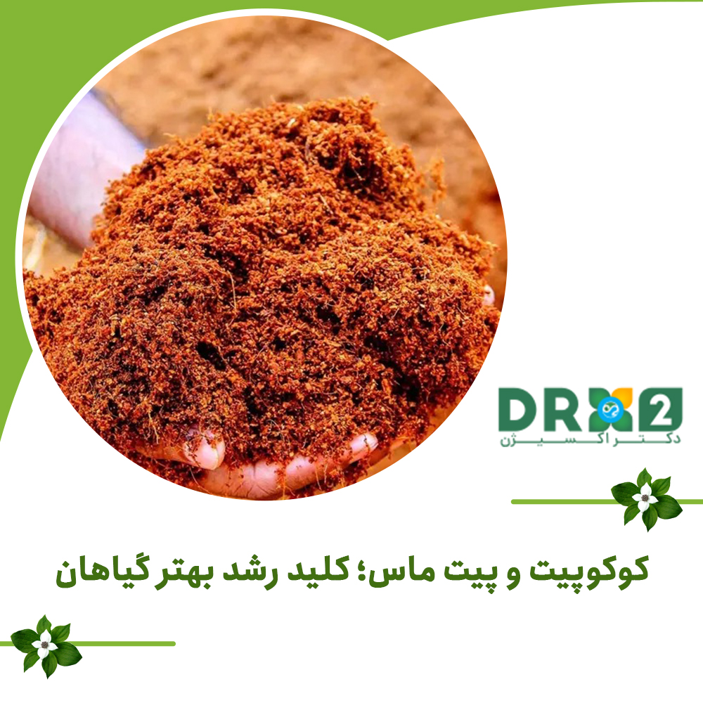 کوکوپیت و پیت ماس؛ کلید رشد بهتر گیاهان