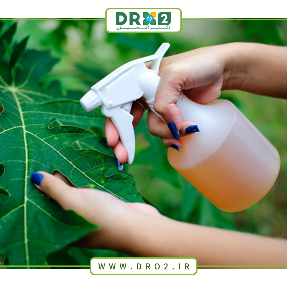 ۵ دلیل قانع‌کننده برای استفاده ازحشره‌کش‌های گیاهی_دکتر اکسیژن