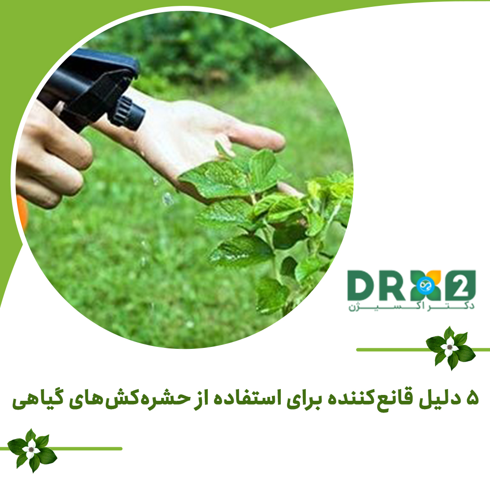 ۵ دلیل قانع‌کننده برای استفاده از حشره‌کش‌های گیاهی