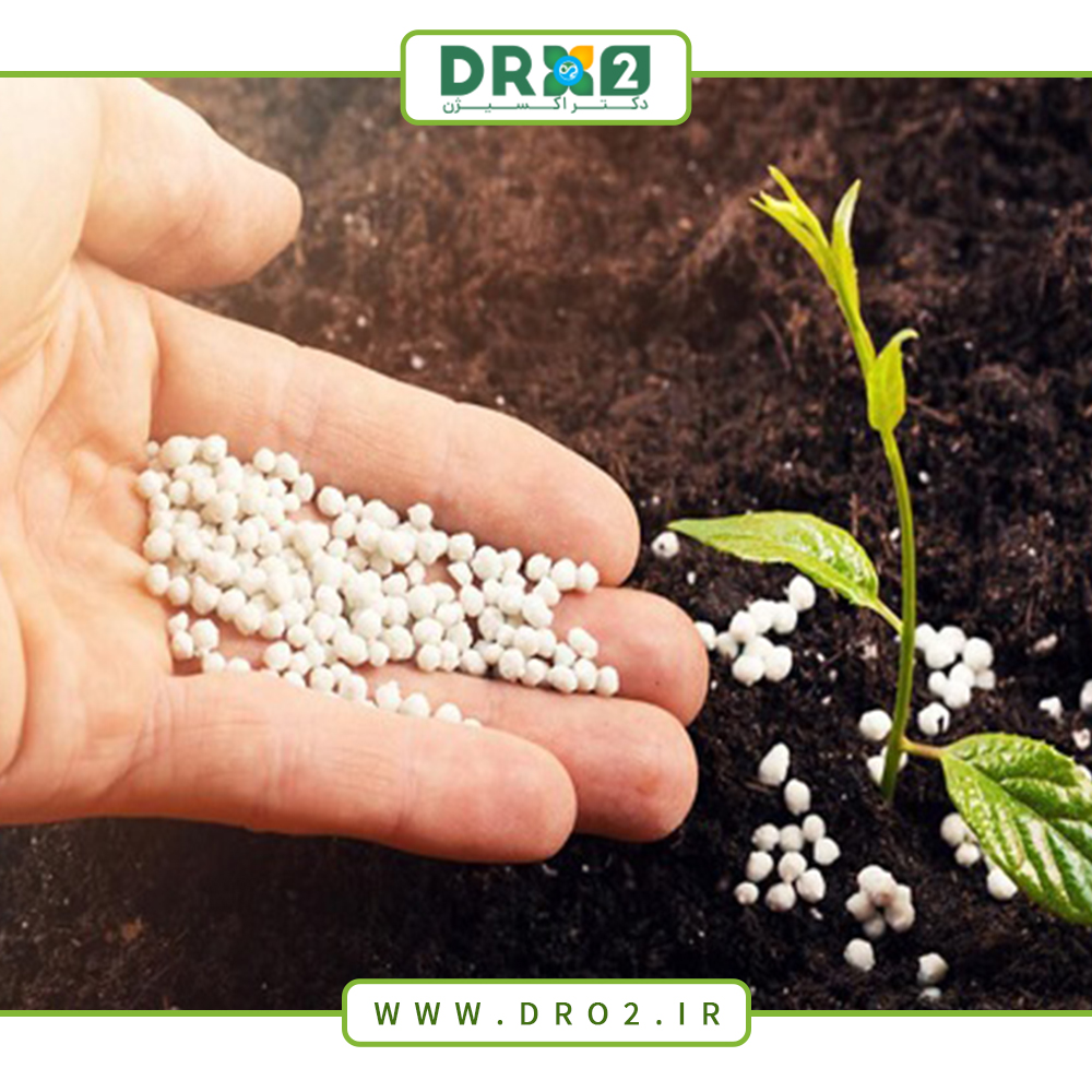 خواص سولفات منیزیم برای گیاهان و تاثیر آن بر رشد_دکتر اکسیژن