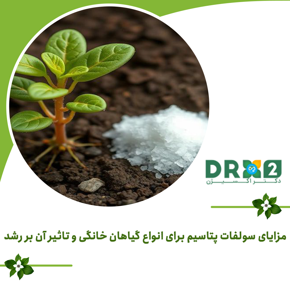مزایای سولفات پتاسیم برای انواع گیاهان خانگی و تاثیر آن بر رشد