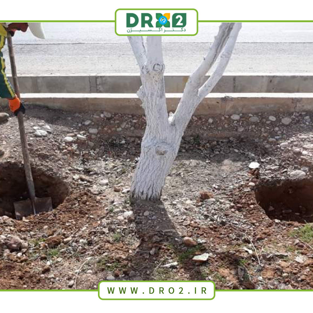 هر آنچه که باید درباره انواع چالکود و رعایت اصول آن دانست_دکتر اکسیژن