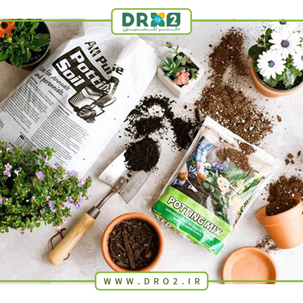 ویتامین هایی که هر گیاه برای رشد بهتر به آن نیاز دارد ؛ راه های تأمین آنها_دکتر اکسیژن