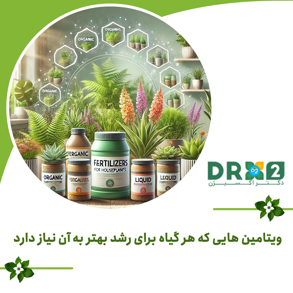 ویتامین هایی که هر گیاه برای رشد بهتر به آن نیاز دارد ؛ راه های تأمین آنها