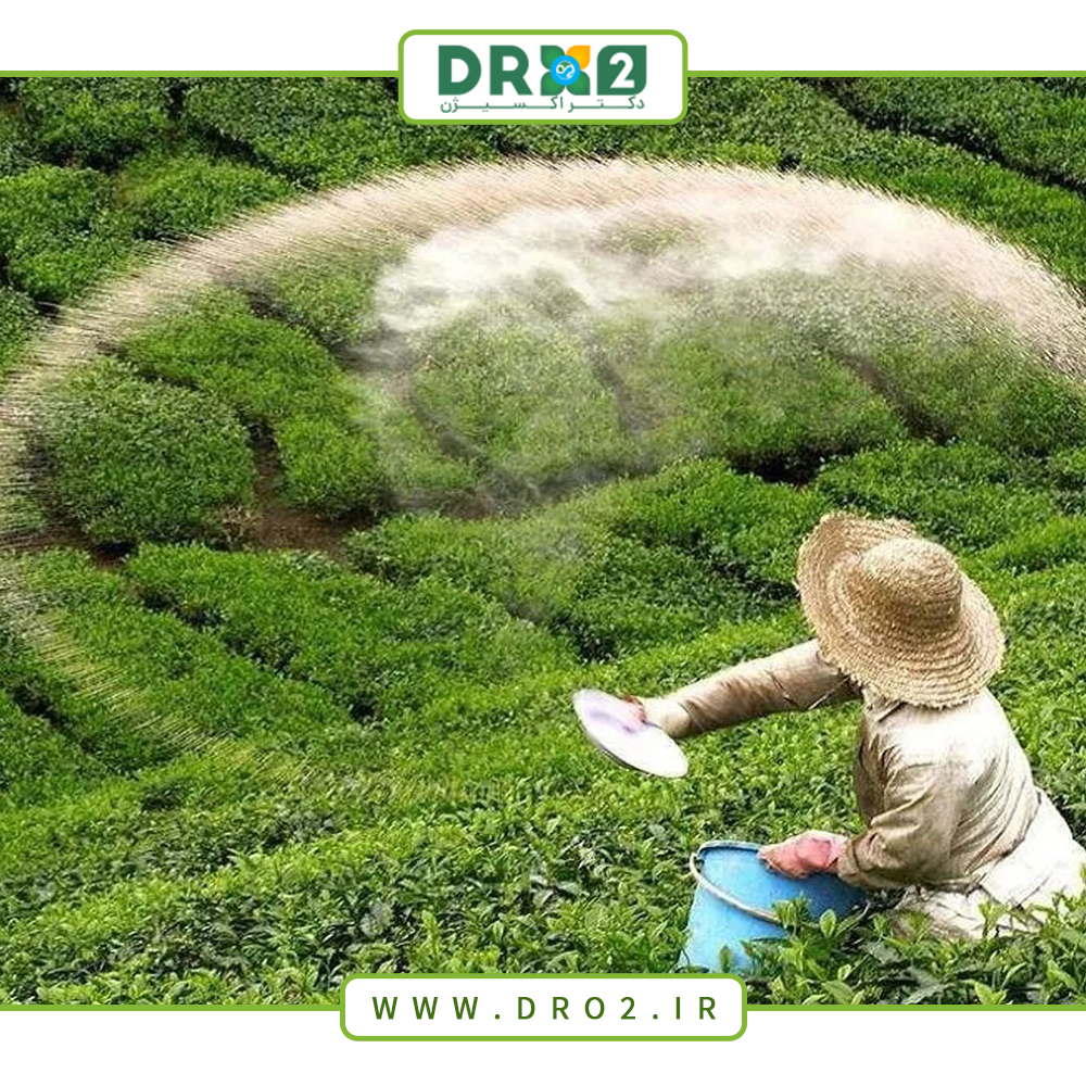 چرا باید از کود سولفات منگنز برای رشد گیاهان خود استفاده کنیم؟_دکتر اکسیژن