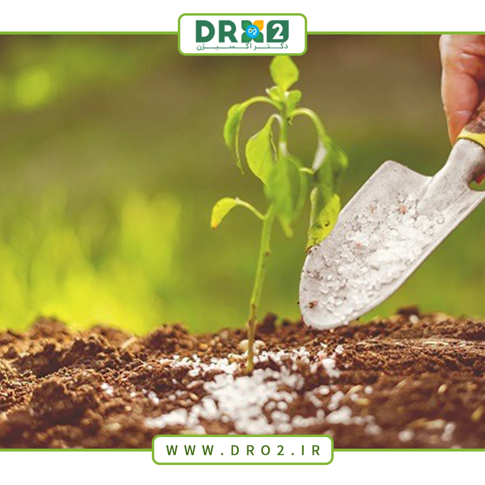 چرا باید از کود سولفات منگنز برای رشد گیاهان خود استفاده کنیم؟_دکتر اکسیژن