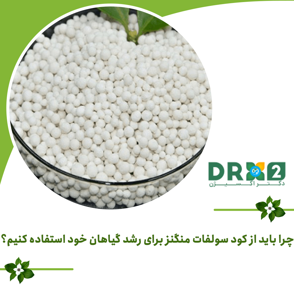 چرا باید از کود سولفات منگنز برای رشد گیاهان خود استفاده کنیم؟