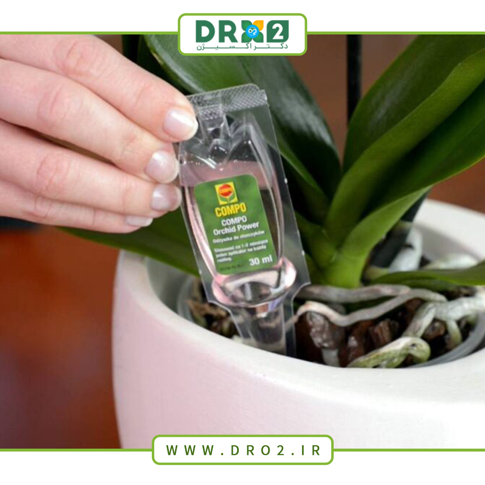 ۵ دلیل اصلی استفاده از سولفات روی برای گیاهان آپارتمانی_دکتر اکسیژن