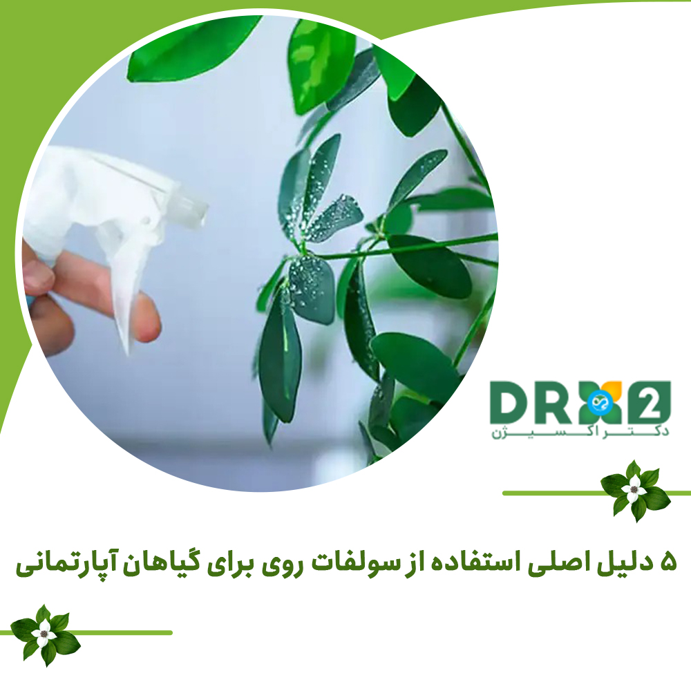 ۵ دلیل اصلی استفاده از سولفات روی برای گیاهان آپارتمانی